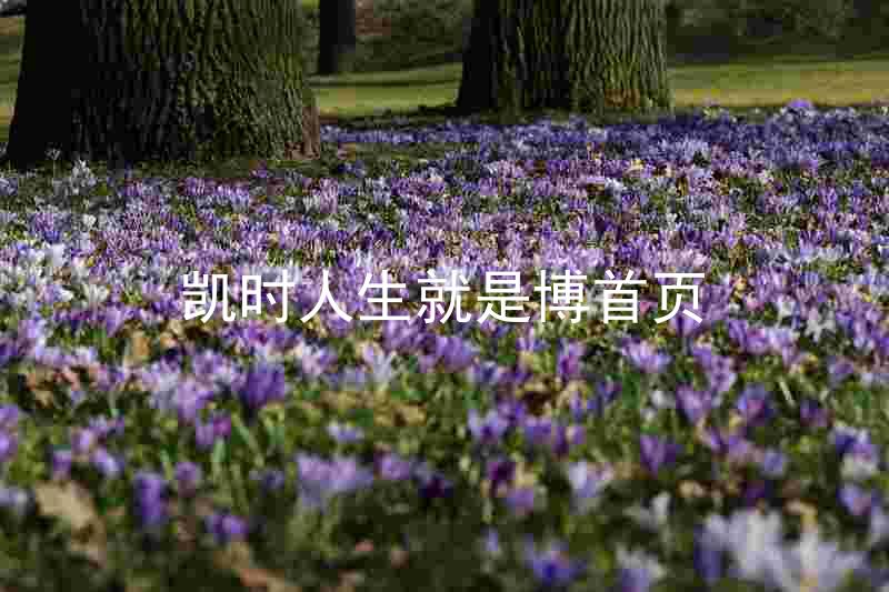 凯时人生就是博首页