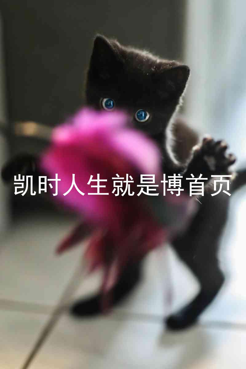 凯时人生就是博首页