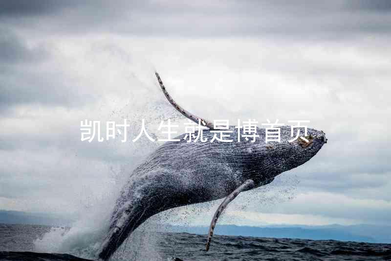 凯时人生就是博首页