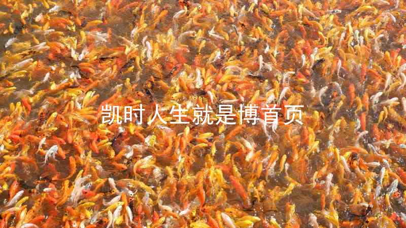 凯时人生就是博首页